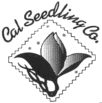 calseedling