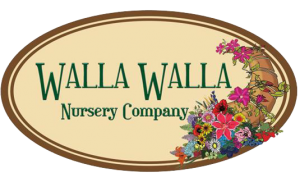 walla-walla